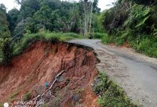 Photo of Donny Indra Putra dan Hariyanto, Garda Terdepan Penanggulangan Bencana di Kabupaten Pasaman