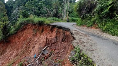 Photo of Donny Indra Putra dan Hariyanto, Garda Terdepan Penanggulangan Bencana di Kabupaten Pasaman