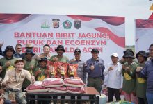 Photo of Perkuat Ketahanan Pangan Nasional, Wakapolda Aceh Bersama Petani Muda Milenial Tanam Jagung di Pidie