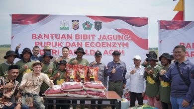 Photo of Perkuat Ketahanan Pangan Nasional, Wakapolda Aceh Bersama Petani Muda Milenial Tanam Jagung di Pidie