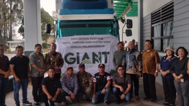 Photo of Pemkab Karo Bersama APINDO Karo Lepas Pengiriman Komoditas Holtikultura ke Palangka Raya