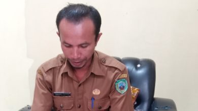 Photo of ‎Nagari Cubadak Jalin Kerja Sama Internasional dengan Belanda, Khairul Watan dan Ahmad Azizan Laut Api Dinilai Berhasil Membuka Peluang Baru bagi Petani