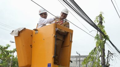 Photo of Bupati Deli Serdang Potong Kabel Jaringan Telekomunikasi di Lubuk Pakam