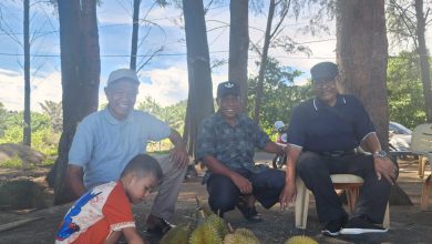 Photo of Musim Durian Tiba Penikmat Memburu Durian Barsela, Rasanya Nikmat Murah Harganya