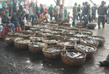 Photo of Pelabuhan Tempat Pendaratan Ikan Lam Pulo Dipenuhi Para Penggalas Sejak Fajar Tiba