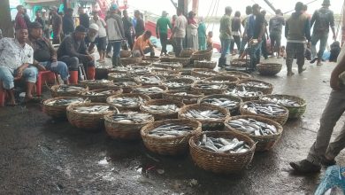 Photo of Pelabuhan Tempat Pendaratan Ikan Lam Pulo Dipenuhi Para Penggalas Sejak Fajar Tiba
