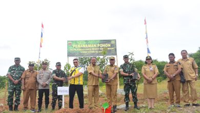 Photo of Kolaborasi Pemkab dan TNI Hijaukan Kawasan Bendungan Lau Simeme