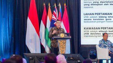 Photo of Bangun Kedaulatan Pangan Nasional, Kementerian ATR/BPN Targetkan 87% LBS Jadi LP2B