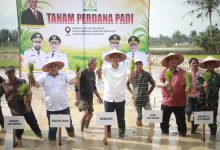 Photo of Pimpin Tanam Padi Perdana Pasca Bencana, Sekda Aceh: Jaga Stabilitas Pangan Tetap Aman
