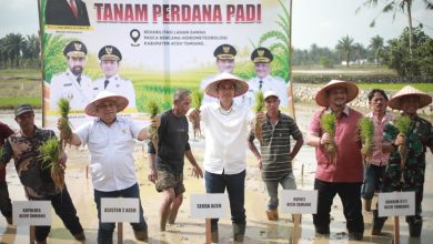 Photo of Pimpin Tanam Padi Perdana Pasca Bencana, Sekda Aceh: Jaga Stabilitas Pangan Tetap Aman