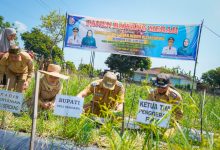 Photo of Panen Bawang di Beringin, Si Pandai Siap Jamin Pasar dan Harga Petani Deli Serdang