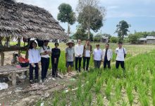 Photo of Pastikan Akurasi Data Lahan Sawah, Kantor Pertanahan Tebing Tinggi Lakukan Verifikasi Lapangan