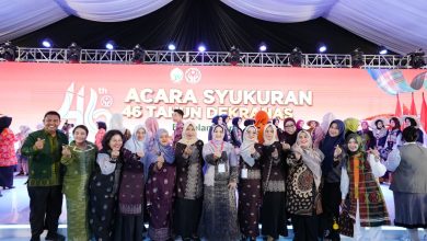 Photo of HUT ke-46 Dekranas, Dekranasda Deli Serdang Perkuat Komitmen Majukan Perajin