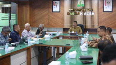 Photo of Migas Blok Andaman Sedang dalam Proses, Sejumlah Korporasi Lirik Hilirisasi KEK Arun Lhokseumawe