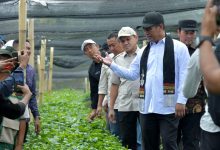 Photo of Mentan Apresiasi Kinerja Pemerintah Aceh, Berjanji akan Terus Dukung Pengembangan Pertanian dan Kopi Gayo