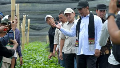 Photo of Mentan Apresiasi Kinerja Pemerintah Aceh, Berjanji akan Terus Dukung Pengembangan Pertanian dan Kopi Gayo