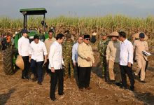 Photo of Dampingi Presiden Prabowo Panen Raya di Malang, Menteri Nusron: Ketahanan Pangan Butuh Kepastian Hukum Tanah