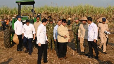 Photo of Dampingi Presiden Prabowo Panen Raya di Malang, Menteri Nusron: Ketahanan Pangan Butuh Kepastian Hukum Tanah