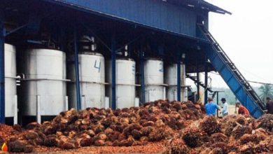 Photo of PKS PT ST Tanjung Purba Diduga Tidak Akomodasi Warga Sekitar dalam Rekrutmen Tenaga Kerja