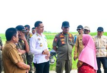 Photo of Tim Terpadu P4GN Bongkar Kafe Cantik Pasca Temuan Penyalahgunaan Narkoba
