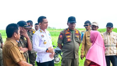 Photo of Tim Terpadu P4GN Bongkar Kafe Cantik Pasca Temuan Penyalahgunaan Narkoba