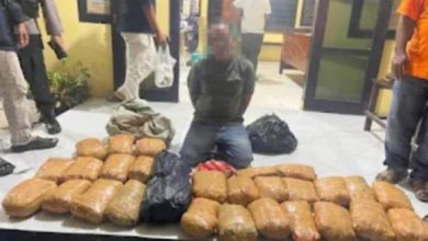 Photo of Sinergi Polsek Ranah Batahan dan Ditresnarkoba Polda Sumbar Gagalkan Penyelundupan 30 Kilogram Ganja
