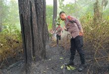 Photo of Quick Response Brimob Polda Aceh Tangani Kebakaran Hutan di Lembah Seulawah