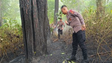 Photo of Quick Response Brimob Polda Aceh Tangani Kebakaran Hutan di Lembah Seulawah