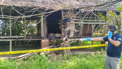 Photo of Polisi Pasang Police Line di Bekas Kandang Lembu, Pria Lansia Ditemukan Meninggal Dunia di Pondok Desa Sena