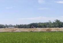Photo of Kepala DPMPTSP Deli Serdang Klarifikasi Soal Alih fungsi Lahan Sawah Produktif di Pantai Labu