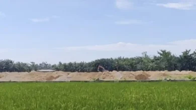Photo of Kepala DPMPTSP Deli Serdang Klarifikasi Soal Alih fungsi Lahan Sawah Produktif di Pantai Labu