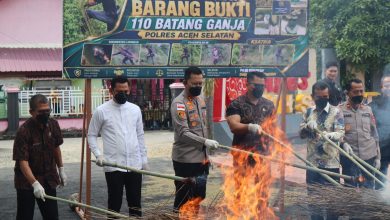 Photo of Musnahkan Barang Bukti Ganja, Kapolres Aceh Selatan Tegaskan Komitmen Berantas Narkotika