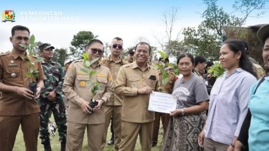 Photo of Dorong Komoditas Unggulan, Bupati Karo Serahkan 1,2 Juta Benih Kopi Arabika untuk 259 Kelompok Tani