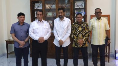 Photo of Bahas Pemulihan Sawah dan Kebun dengan Mentan, Gubernur Mualem: Kami Butuh Dukungan Pak Menteri