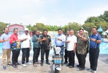 Photo of Gebyar Kemerdekaan, 240 Atlet Ikuti Pertandingan Cabor Renang