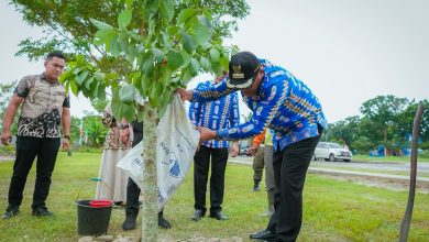 Photo of Bupati Awali Penanaman Bibit Pohon Pengganti Karangan Bunga HUT ke-81