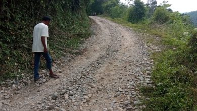 Photo of Jalan Kampung Koto Tuo-Huraba Memprihatinkan, Warga Berharap Perhatian Bupati Pasaman Welly Suhery