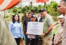 Photo of Asri Ludin Tambunan Berikan Lahan Pinjam Pakai Gratis, Dongkrak Pendapatan Petani Cabai Sibolangit