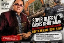 Photo of Sopir Dijerat Kasus Kehutanan, Kuasa Hukum Tantang Gakkum Buktikan Asal-usul Kayu