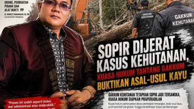 Photo of Sopir Dijerat Kasus Kehutanan, Kuasa Hukum Tantang Gakkum Buktikan Asal-usul Kayu