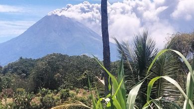 Photo of Gunung Sinabung Erupsi, Empat Kecamatan Terdampak Abu Vulkanik, Pemkab Karo Bagikan Masker dan Warga Diminta Jangan Panik