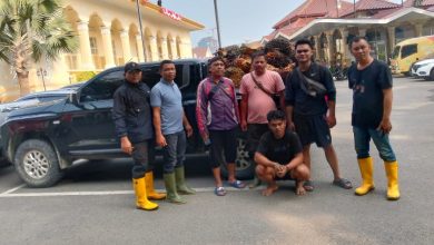 Photo of Pelaku Pencurian 1,3 Ton TBS di Kebun Batang Serangan Diserahkan ke Polda Sumut