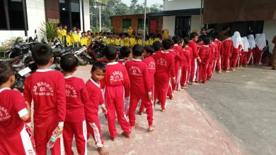 Photo of Penjaringan Bakat Siswa SD Digelar di Dua Koto, Pasaman Disebut Catat Rekor Peserta 8.000 Anak