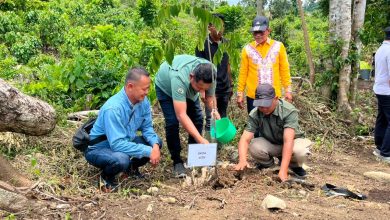 Photo of PHE NSO Mengembalikan Jalan Pulang Gajah Melalui Restorasi Lahan Kritis di Aceh Utara