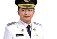 Photo of Pemkab Pasaman Dorong Kepastian Formasi CPNS dan PPPK 2026, Pendidikan dan Kesehatan Jadi Prioritas