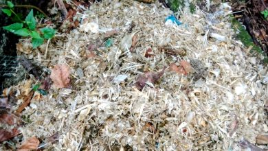 Photo of Warga Tuntungan Medan Keluhkan Limbah Lele Tom Aquatic Ind, Ijinnya Dipersoalkan