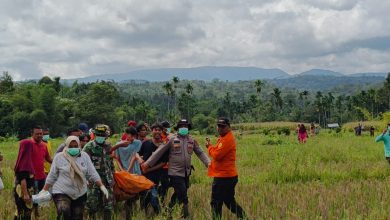 Photo of Danramil 03/Talu Bersama Anggota Berjibaku Cari Korban Hanyut Amrianton