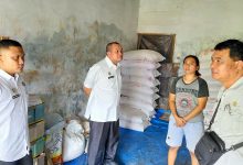 Photo of Serapan Pupuk di Namorambe Belum Maksimal, Kebutuhan NPK Bertambah