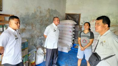 Photo of Serapan Pupuk di Namorambe Belum Maksimal, Kebutuhan NPK Bertambah