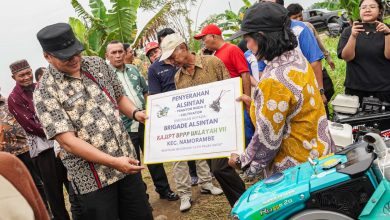Photo of Bawang Merah Mulai Dikembangkan di Namorambe, Target 13 Ton per Hektare